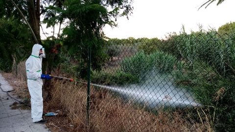 Un operario fumigando un terreno en Palomares del Ro, parte del protocolo de actuacin contra el mosquito del virus del Nilo