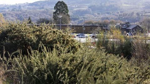 Guarder�a con �toxos�. En una de las zonas VIP de la ciudad, entre Sanfiz y la avenida de Madrid, existe una gran parcela que no fue desbrozada. Est� llena de tojos y otro tipo de maleza.  Sirve de refugio para todo tipo de �bicher�a�. Esta al lado de una guarder�a,