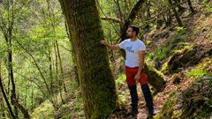 Alejandro �lvarez creo Galnus, su proyecto de recuperaci�n del bosque atl�ntico, en el 2019