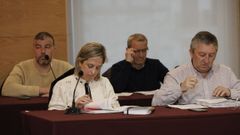 Ediles del PSOE y detr�s los de Por Viveiro, que los echaron del gobierno