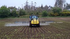 Un ganadero sulfata los campos de ma�z para evitar el ataque del gusano soldado