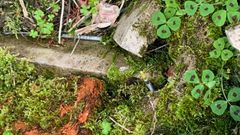 Nuevas jeringuillas fotografiadas este viernes en las inmediaciones del colegio Frei Luis de Granada, en las antiguas viviendas