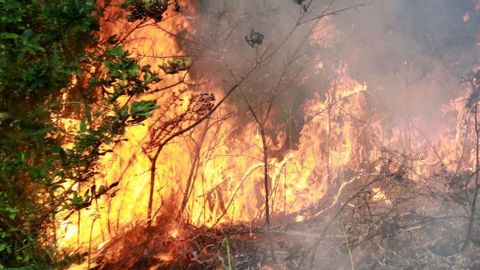 Imagen de archivo de un incendio intencionado en Entrecruces