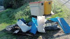 <span lang= gl >Lixo recollido polos escolares e ou resto de voluntarios</span>