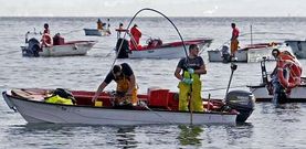 Las cofrad�as de Barbanza consideran que zonas como Cab�o pod�an ser m�s rentables con cuidados y vigilancia.