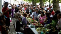 Concurso de Frutas de Pontedeume, en la Alameda de la Villa de los Andrade