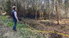 El alcalde de Ortigueira observa el trabajo de las brigadas forestales, esta tarde cerca de Cabalar