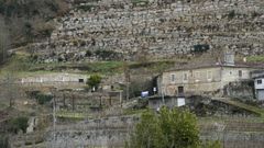 Zona del Pazo de Toubes de Vi�a Costeira