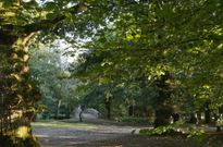 Las parcelas del Bosque do A��n est�n catalogadas en su mayor parte como zona verde. 