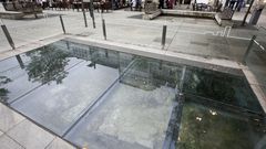 En la ventana arqueol�gica de la Praza de San Marcos ha crecido la vegetaci�n en el interior