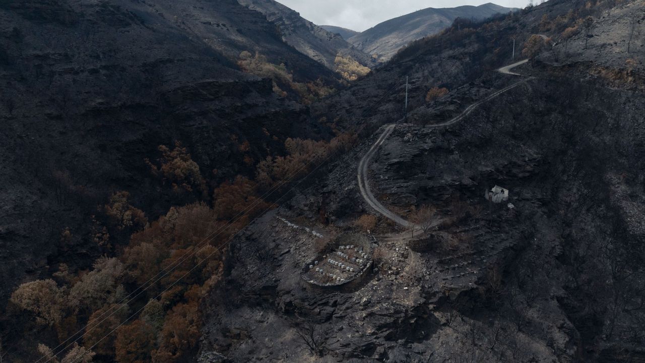 Estos son los 66 concellos gallegos en los que se flexibilizan los requisitos de la PAC por los incendios del verano