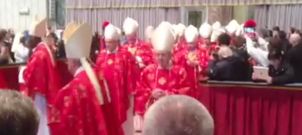 cardenales