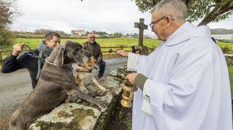La festividad de San Ant�n Abade en Noicela, Carballo, �en im�genes!