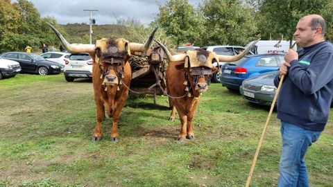 En Crianza Trevinca hay tambin exhibiciones con animales.