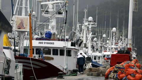 Pesqueros atracados en el puerto de Celeiro (foto de archivo)