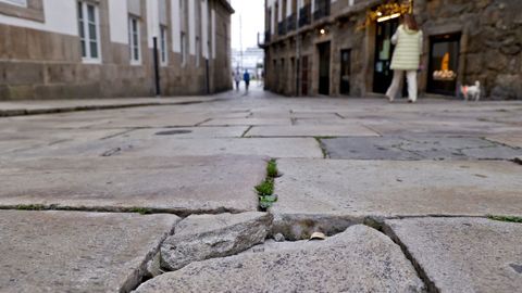 Vecinos y transentes se quejan del estado del enlosado en la calle de Agar