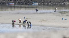 Mariscadoras faenando en la r�a de Pontedeume, en una imagen de archivo
