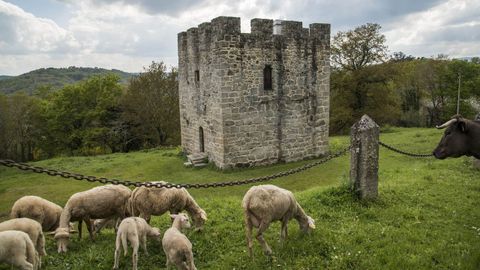 Torre de A Candaira, en O Savi�ao