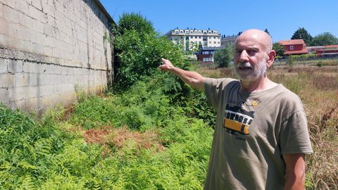 Lino Snchez muestra el muro de donde salieron las avispas asiticas. 