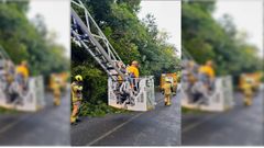 Los bomberos de Lugo cortando una rama 