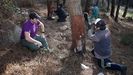 La comunidad de montes de Baroa (Porto do Son) lleva aos practicando la extraccin de resina en pinares suyos