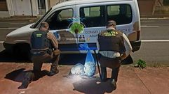 Decomiso de marisco en Cabo de Cruz