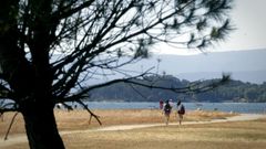 Las piscinas se crear�n en las inmediaciones del pinar de la playa de A Concha