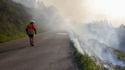 Un bombero observa la columna de humo del incendio registrado la pasada noche en el Monte Naranco de Oviedo