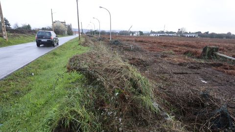 Zona de Mandi�