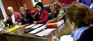 El pleno de Cee aprob� las cuentas para el 2014, unos presupuestos que siguen la senda del ajuste, aunque crecen 339.000 euros.
