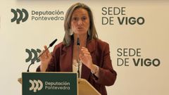 La vicepresidenta de la Diputaci�n, Luisa S�nchez