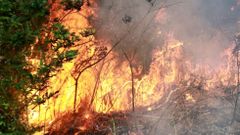 Imagen de archivo de un incendio intencionado en Entrecruces