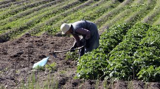Visibilizar el trabajo de las mujeres rurales, fomentar el autoempleo y darle acceso a formaci&oacute;n son algunos de los objetivos del estatuto