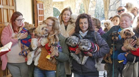 Bendici�n de mascotas en la iglesia de Campolongo