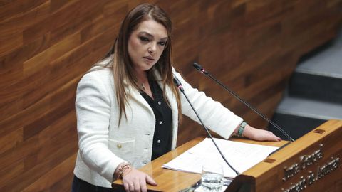 La portavoz de VOX ,Carolina L�pez