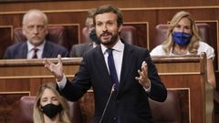 El l�der del PP, Pablo Casado, interviene en el Congreso de los Diputados