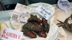 Estos siete santiaguios costaban 72 euros a principios de octubre en una pescadera coruesa