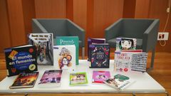 Colecci�n de libros del proyecto europeo para literatura juvenil de igualdad en el que participa la Biblioteca de Lugo