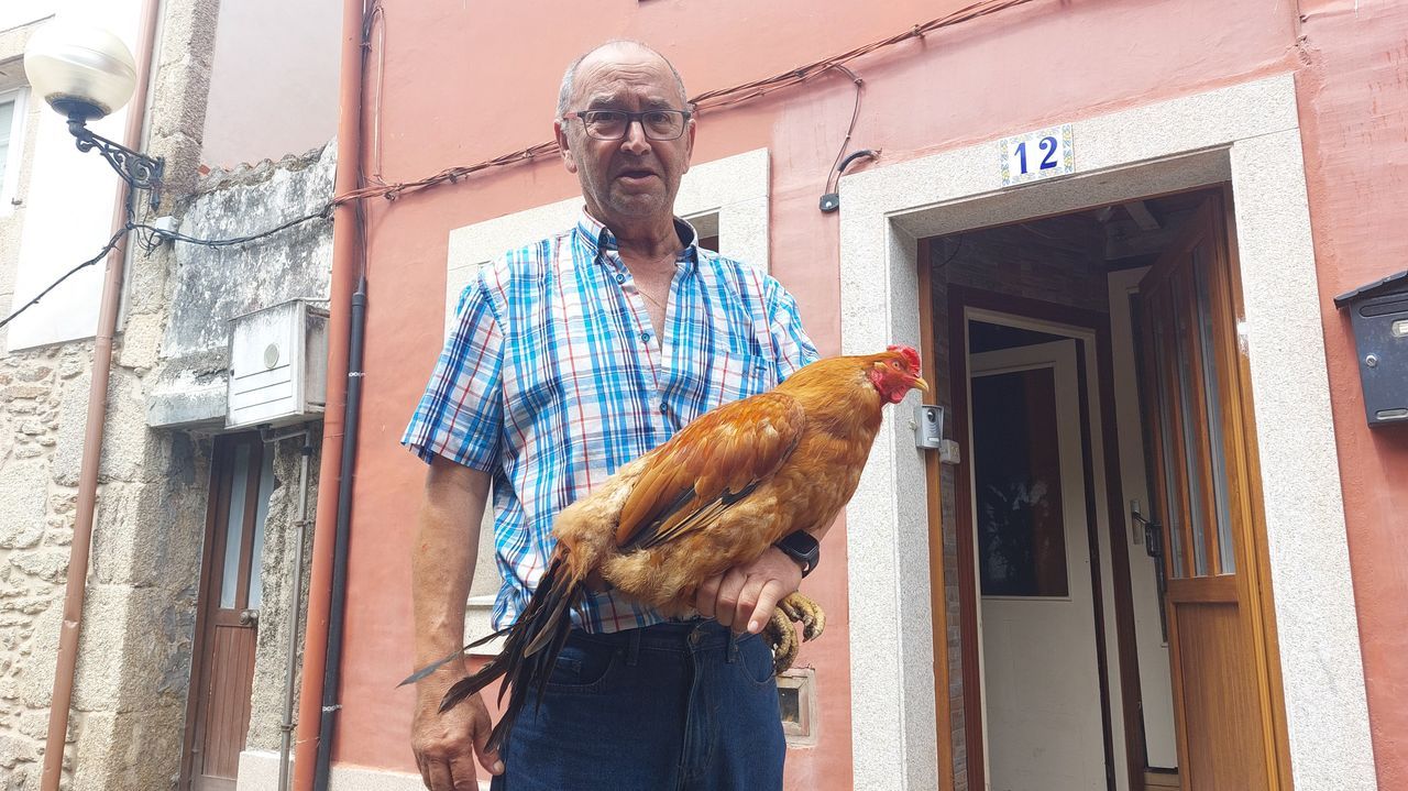«Hasta tuvo que venir la policía a tomar fotos del gallo»