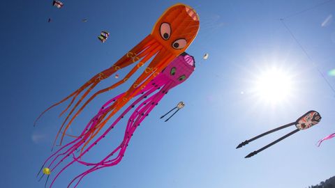 Exhibici�n de cometas, una de las actividades alternativas