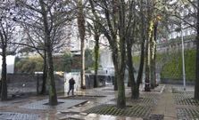 La plaza contigua a la estaci�n donde se construye la estaci�n del AVE se encuentra en un evidente estado de abandono, cono las palmeras calificadas como singulares. 