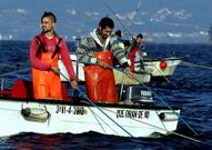 Desde que empez� la campa�a, los mariscadores �non ga�an nin un peso�, seg�n los p�sitos. 
