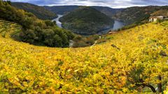 70�im�genes para admirar desde casa el oto�o de la Ribeira Sacra y O Courel