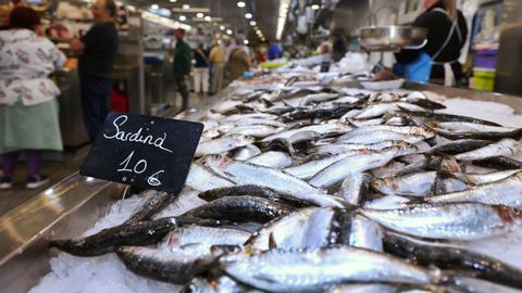 Venta de sardinas para San Juan.