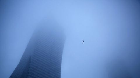 Un p�jaro en medio de la niela que tapa los rascacielos de Varsovia.