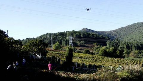 El dron, sobrevolando una vi�a en A R�a