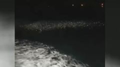 El cerco asegura que el caladero tiene xouba