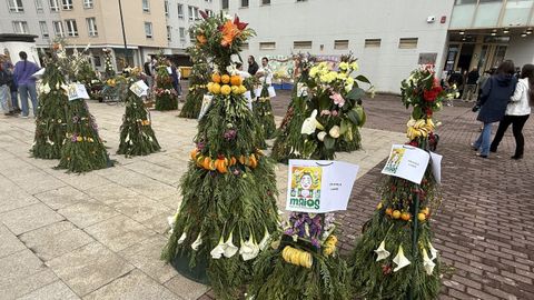 Celebraci�n de Os Maios en Nar�n, el pasado a�o.