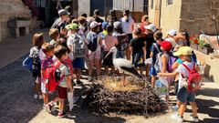La jornada incluy&oacute; varios talleres y la construcci&oacute;n de un nido