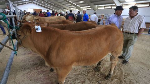 Mucho pblico se anim a disfrutar de la feria de Pedrafita